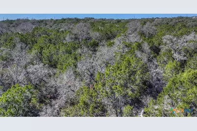 505 Red Rose Street, Spring Branch, TX 78070 - Photo 30