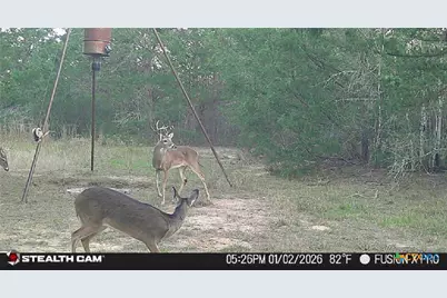 1873 County Road 136A, Hallettsville, TX 77964 - Photo 20