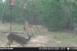 1873 Co Rd 136A, Hallettsville, TX 77964 - Photo 20