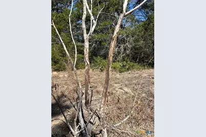 1873 County Road 136A, Hallettsville, TX 77964 - Photo 34