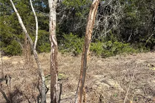 1873 Co Rd 136A, Hallettsville, TX 77964 - Photo 34