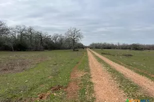 2292 Garrett Rd, Yoakum, TX 77995 - Photo 8