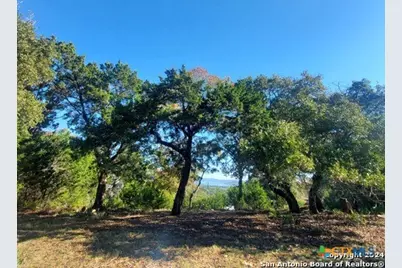 152 Mountainview Drive, Canyon Lake, TX 78133 - Photo 4