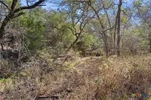 185 Billingsley Heights, Cedar Creek, TX 78612 - Photo 46