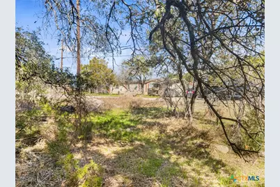 1738 Cave Drive, Spring Branch, TX 78070 - Photo 8