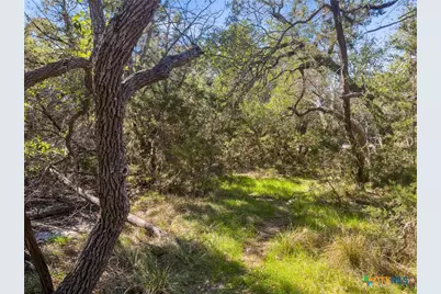 1738 Cave Drive, Spring Branch, TX 78070 - Photo 6