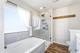 462 Moonvine Way, New Braunfels, TX 78130 - Photo 22