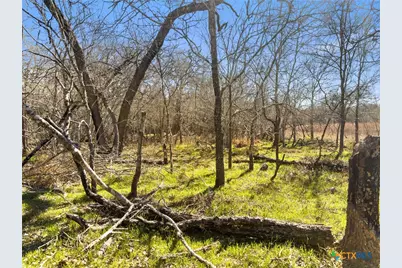 372 Shoshoni Lane, Kingsbury, TX 78638 - Photo 8