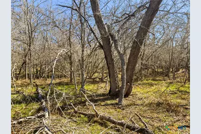 372 Shoshoni Lane, Kingsbury, TX 78638 - Photo 10