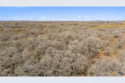 372 Shoshoni Lane, Kingsbury, TX 78638 - Photo 20