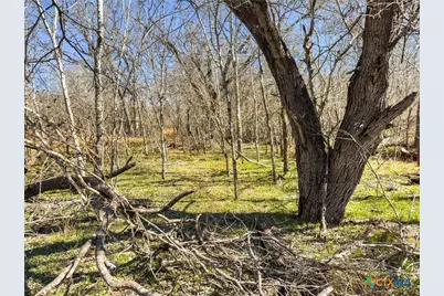 372 Shoshoni Lane, Kingsbury, TX 78638 - Photo 12