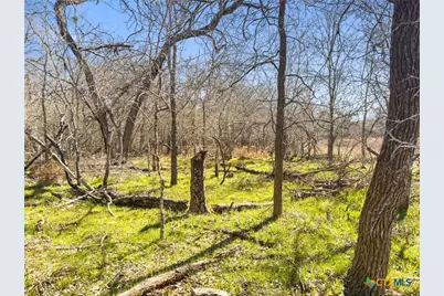 372 Shoshoni Lane, Kingsbury, TX 78638 - Photo 6