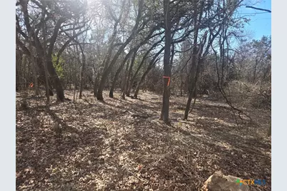 Tbd Estate Trail, Belton, TX 76513 - Photo 2