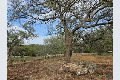 206 Falling Hills, New Braunfels, TX 78132 - Photo 2