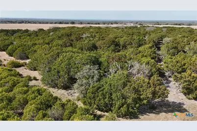 Lot 42 Starfall Drive, Lampasas, TX 76550 - Photo 6