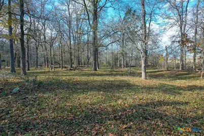 Tbd Tract 1 10.1 Acres Cr 230, Harwood, TX 78632 - Photo 6