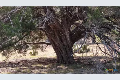 Lot 30 Cr 252, Bertram, TX 78605 - Photo 20