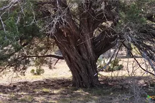 Lot 30 Cr 252, Bertram, TX 78605 - Photo 20