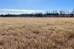 3201 Bottoms East Rd, Troy, TX 76579 - Photo 1