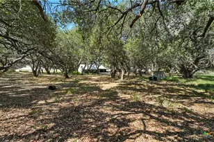 1784 Fm 538, Stockdale, TX 78160 - Photo 6