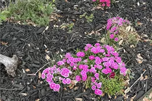 3010 Legend Oaks Blvd, Belton, TX 76513 - Photo 36