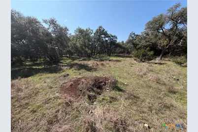 2883 Wegner Road, New Braunfels, TX 78132 - Photo 14