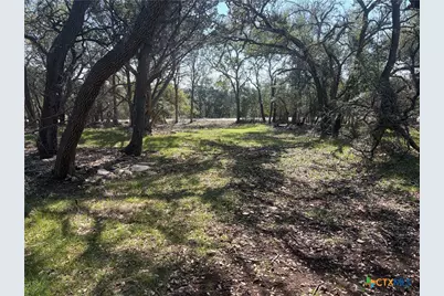 2883 Wegner Road, New Braunfels, TX 78132 - Photo 1