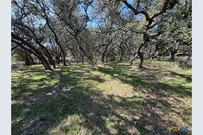 2883 Wegner Road, New Braunfels, TX 78132 - Photo 2