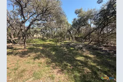 2883 Wegner Road, New Braunfels, TX 78132 - Photo 6