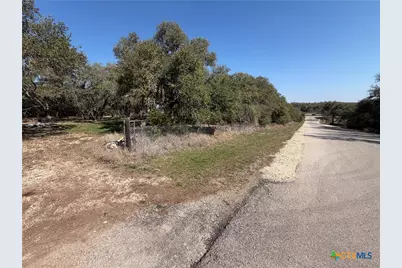 2883 Wegner Road, New Braunfels, TX 78132 - Photo 4