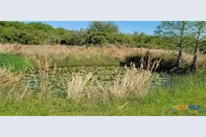 496 Ramona Road, Seadrift, TX 77983 - Photo 24