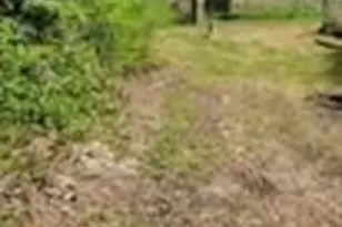 496 Ramona Rd, Seadrift, TX 77983 - Photo 26