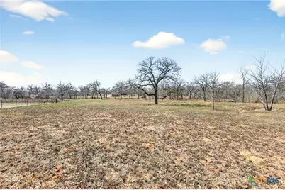 1298 County Road 425, Stockdale, TX 78160 - Photo 12