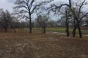 1298 County Rd 425, Stockdale, TX 78160 - Photo 42