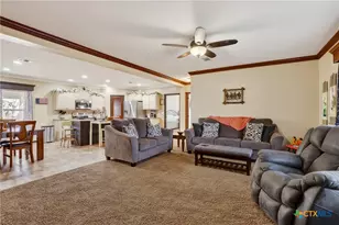 1298 County Rd 425, Stockdale, TX 78160 - Photo 16