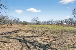 1298 County Rd 425, Stockdale, TX 78160 - Photo 10