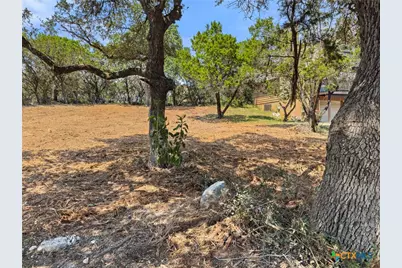 1107 High Point Lane, Spring Branch, TX 78070 - Photo 14