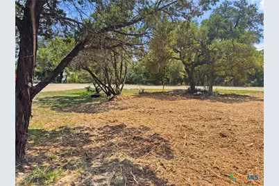 1107 High Point Lane, Spring Branch, TX 78070 - Photo 6