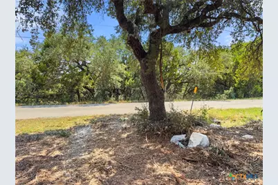 1107 High Point Lane, Spring Branch, TX 78070 - Photo 12