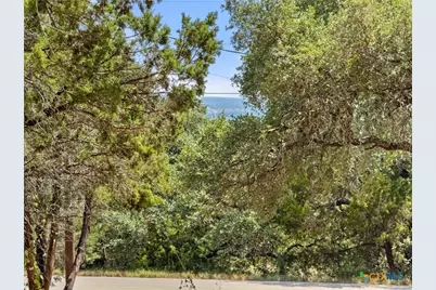 1107 High Point Lane, Spring Branch, TX 78070 - Photo 8