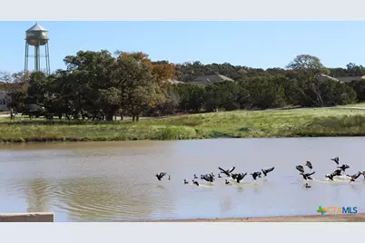 325 Dulce Vista, Boerne, TX 78006 - Photo 22