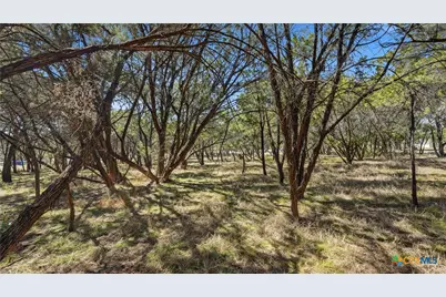 Lot 16 Fels Mauer, New Braunfels, TX 78132 - Photo 8