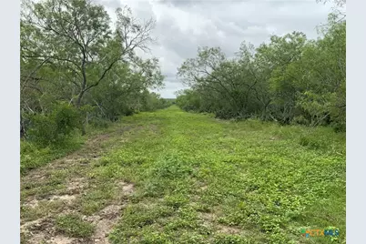 2647 Fm 3282, Gonzales, TX 78629 - Photo 4
