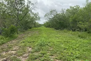 2647 Fm 3282, Gonzales, TX 78629 - Photo 4