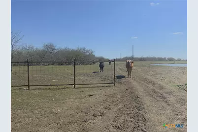 2647 Fm 3282, Gonzales, TX 78629 - Photo 12