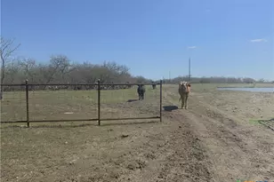 2647 Fm 3282, Gonzales, TX 78629 - Photo 8