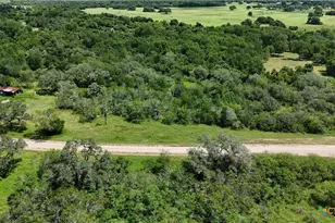 752 Lassman Rd, Goliad, TX 77963 - Photo 4