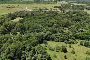 752 Lassman Rd, Goliad, TX 77963 - Photo 14