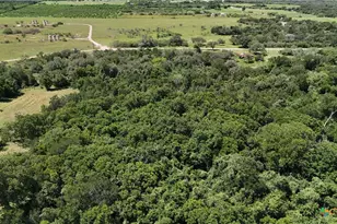 752 Lassman Rd, Goliad, TX 77963 - Photo 16