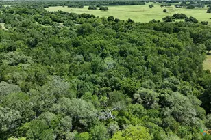 752 Lassman Rd, Goliad, TX 77963 - Photo 6